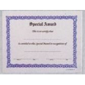 Stock Special Award Athletic & Award Certificate (8 1/2"x11")